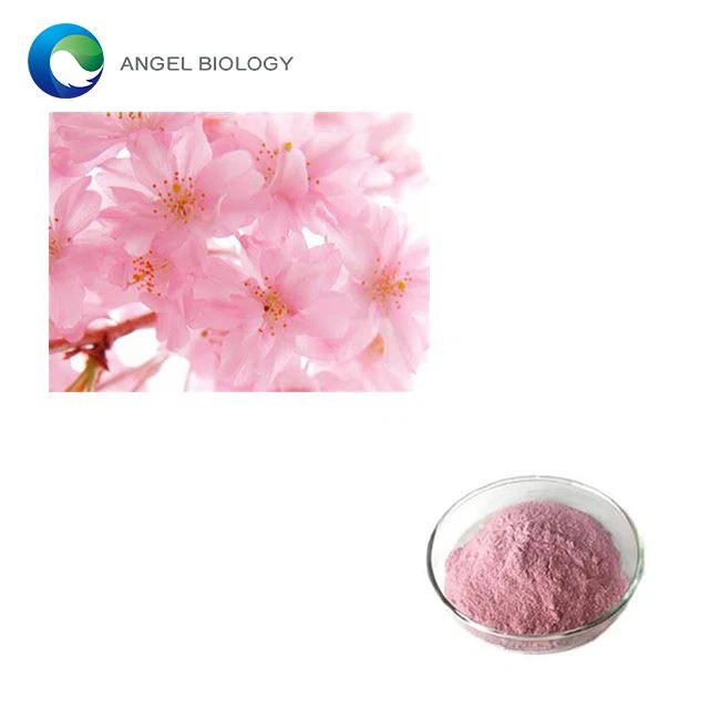 What is Sakura Powder Good For?